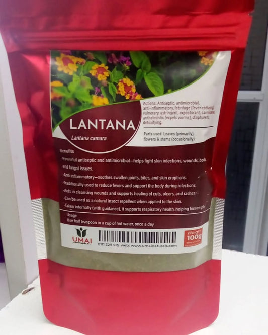 Lantana – Antiseptic Respiratory Support Herb.