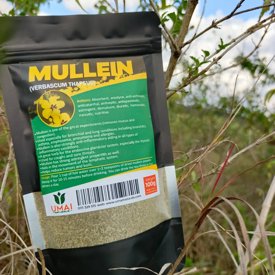 Mullein – Respiratory and Lymphatic Support Herb.