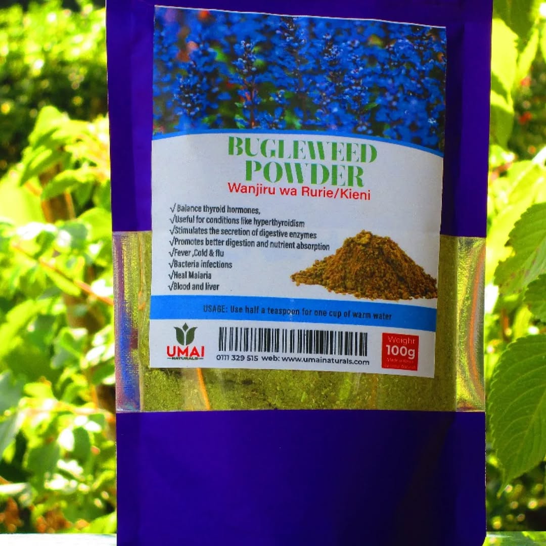 Bugleweed Powder – Thyroid and Immune Support.