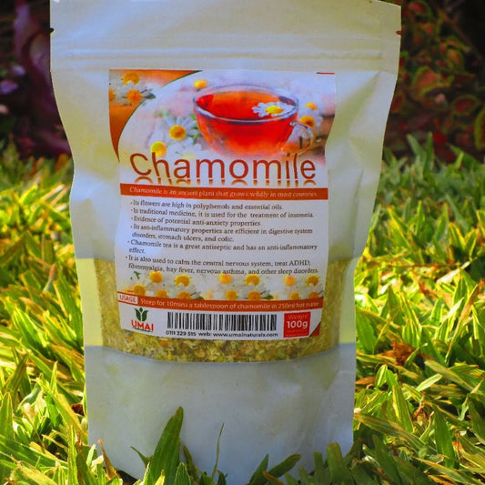 Chamomile – Nervous System and Digestive Support Herb.