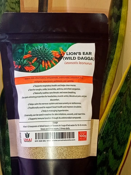 Lion’s Ear (Wild Dagga) – Respiratory and Nervous System Support.